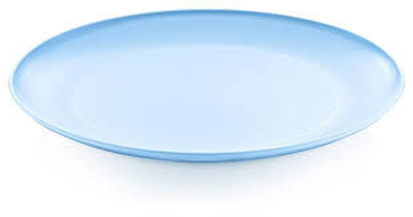 Снимка на Чиния  PVC (20,5 X 2 см) M-271