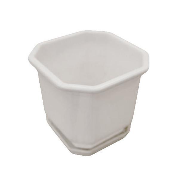 Снимка на Саксия Далия 28 бяла