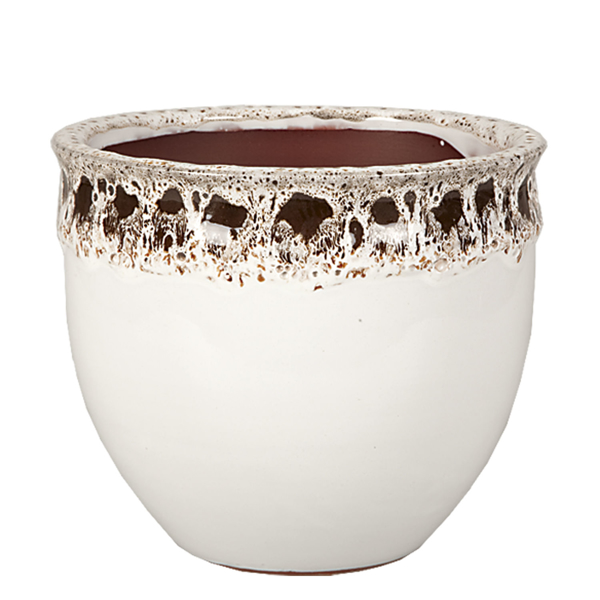 Снимка на Саксия БЕЛА 20/17 бяла/кафява